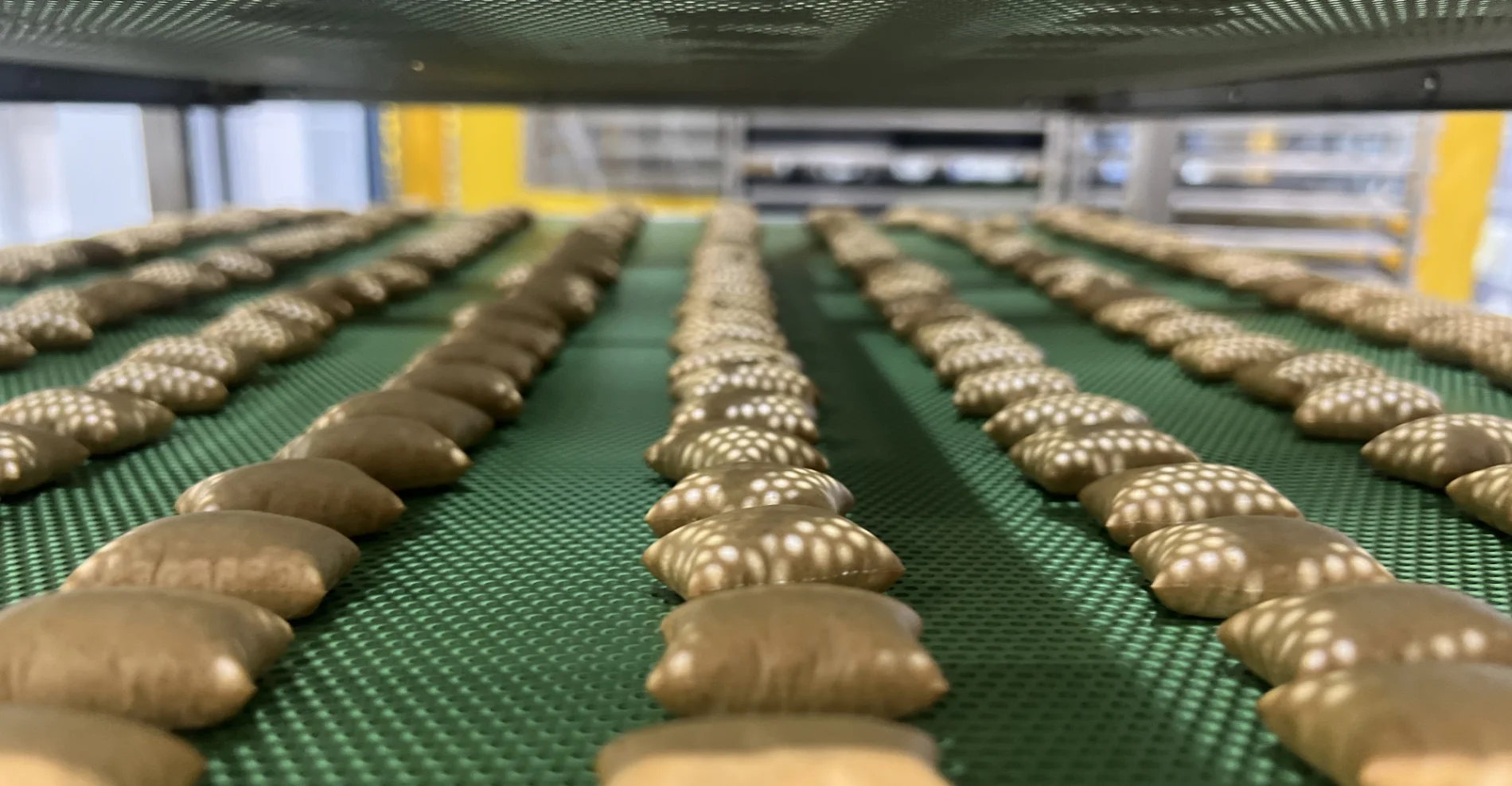 Innovation, ethics<br/>and sustainability